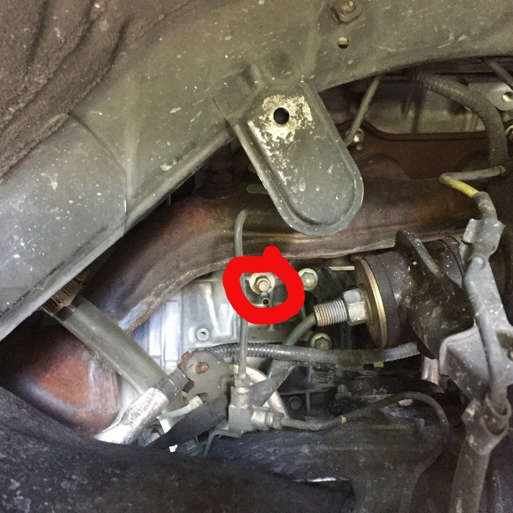 engine-coolant-drain-location-tacoma-world