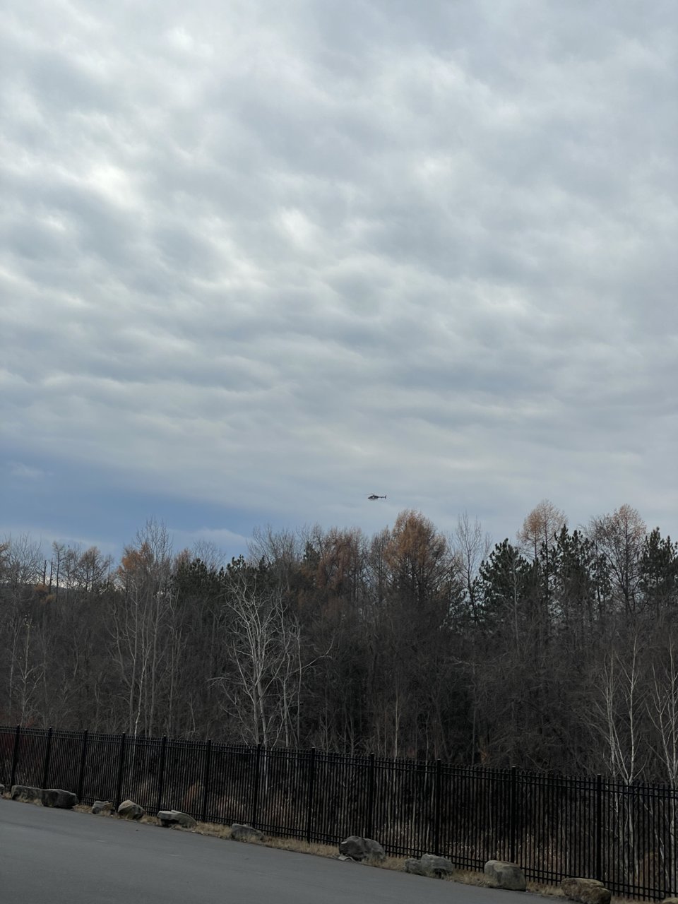 1E1EB480-2543-4FF0-A982-1E65EAB28833.jpg