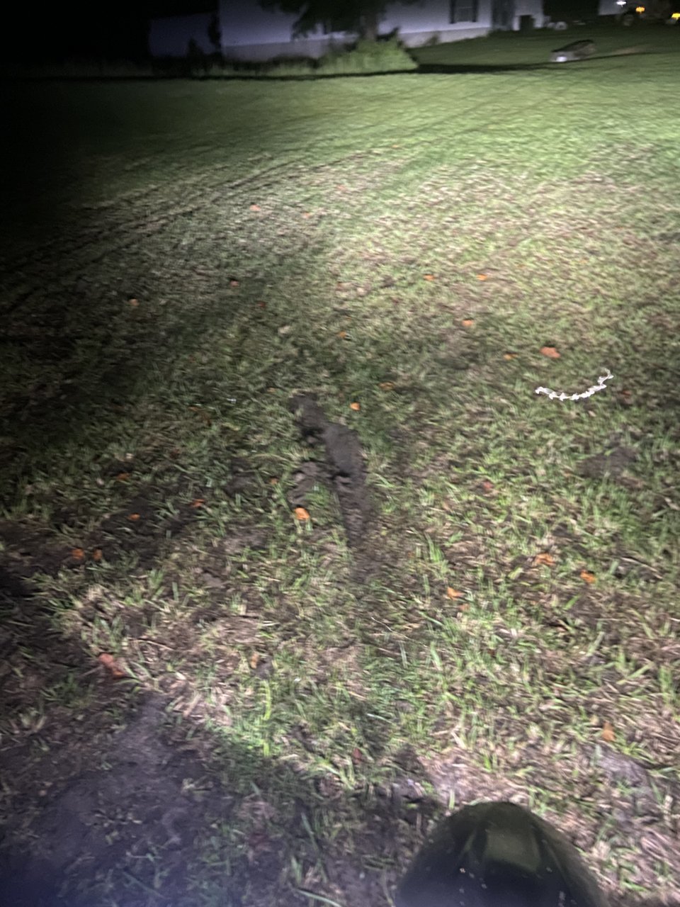 1E563B04-201C-4B4F-9BE8-EF67365D5326.jpg