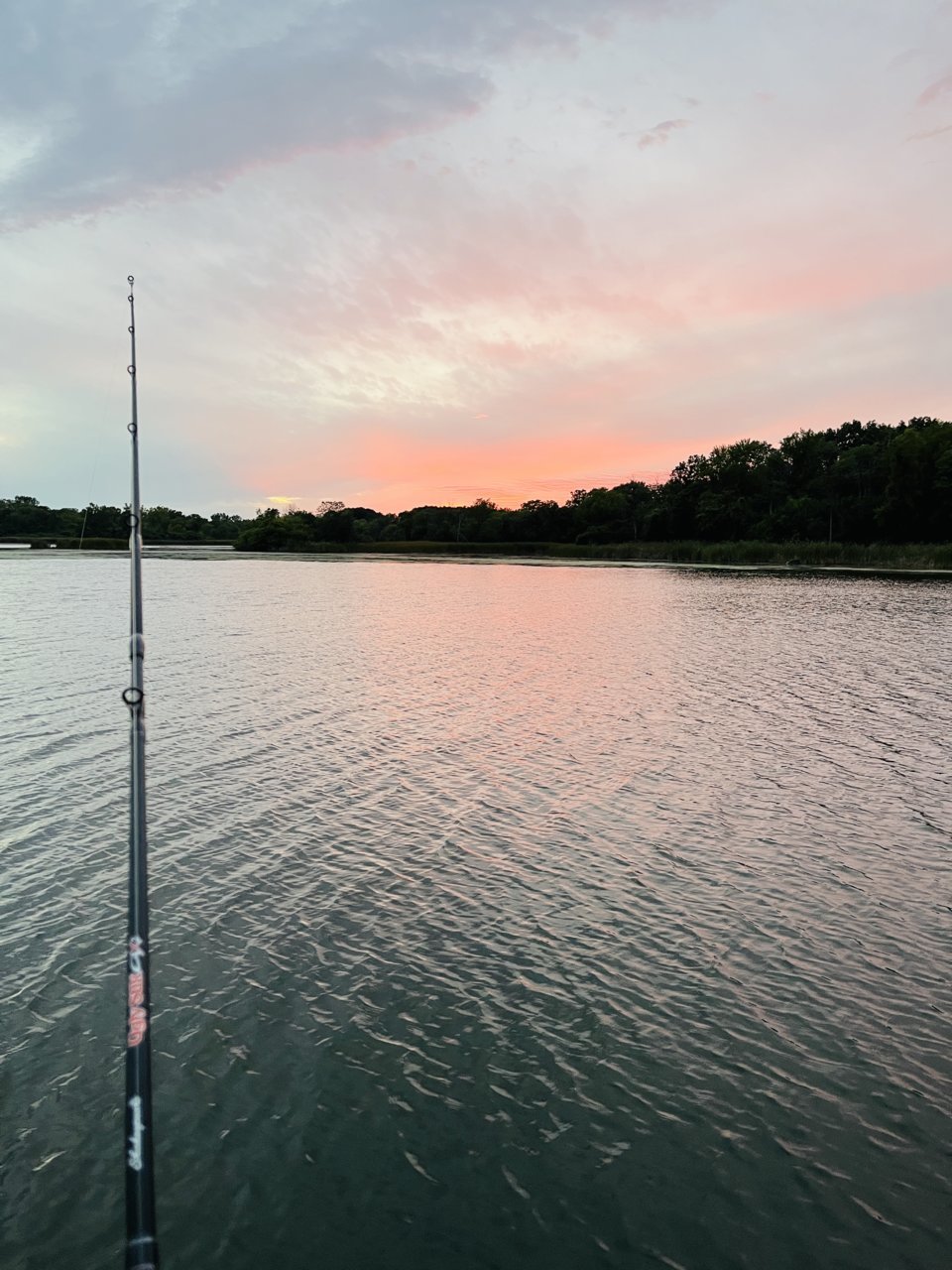 1E5B8ED9-63F6-494D-B917-65122F2347CA.jpg