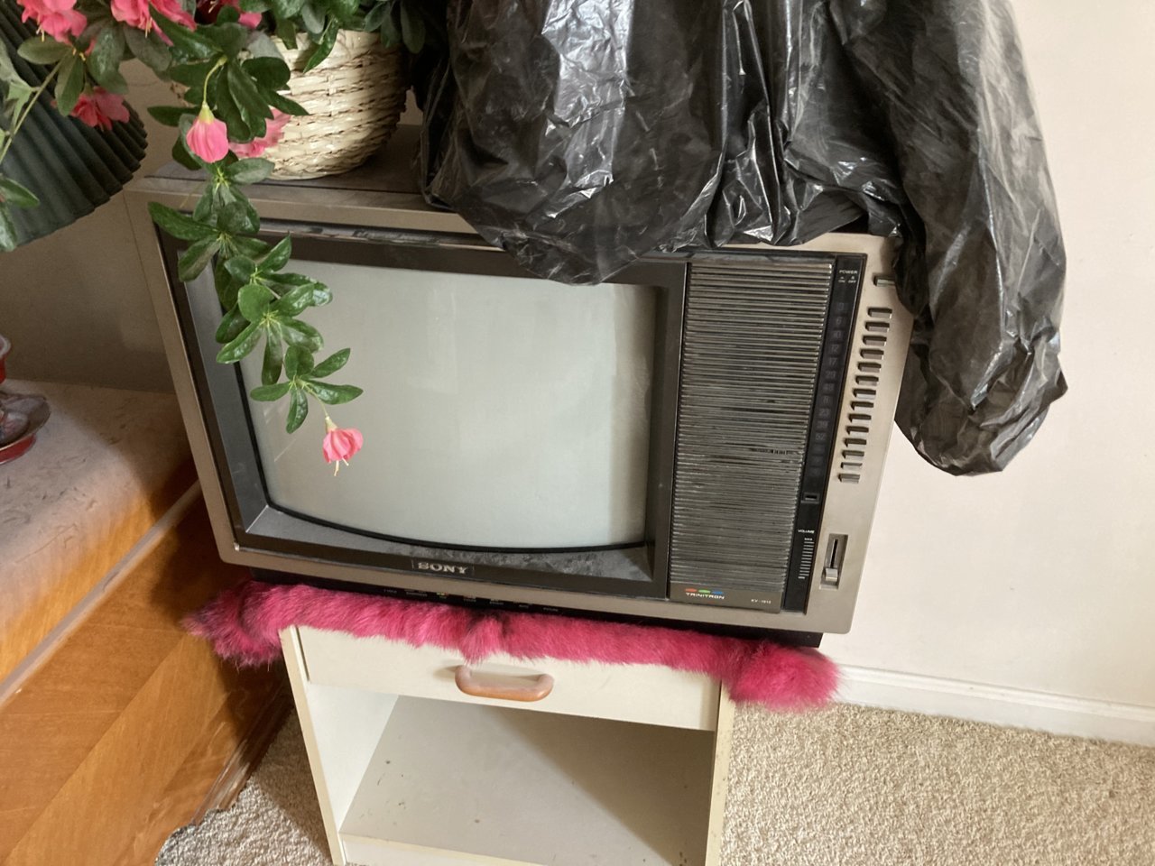 1E81F6F1-5AB0-4A1E-9058-6BCB95DF76BA.jpg