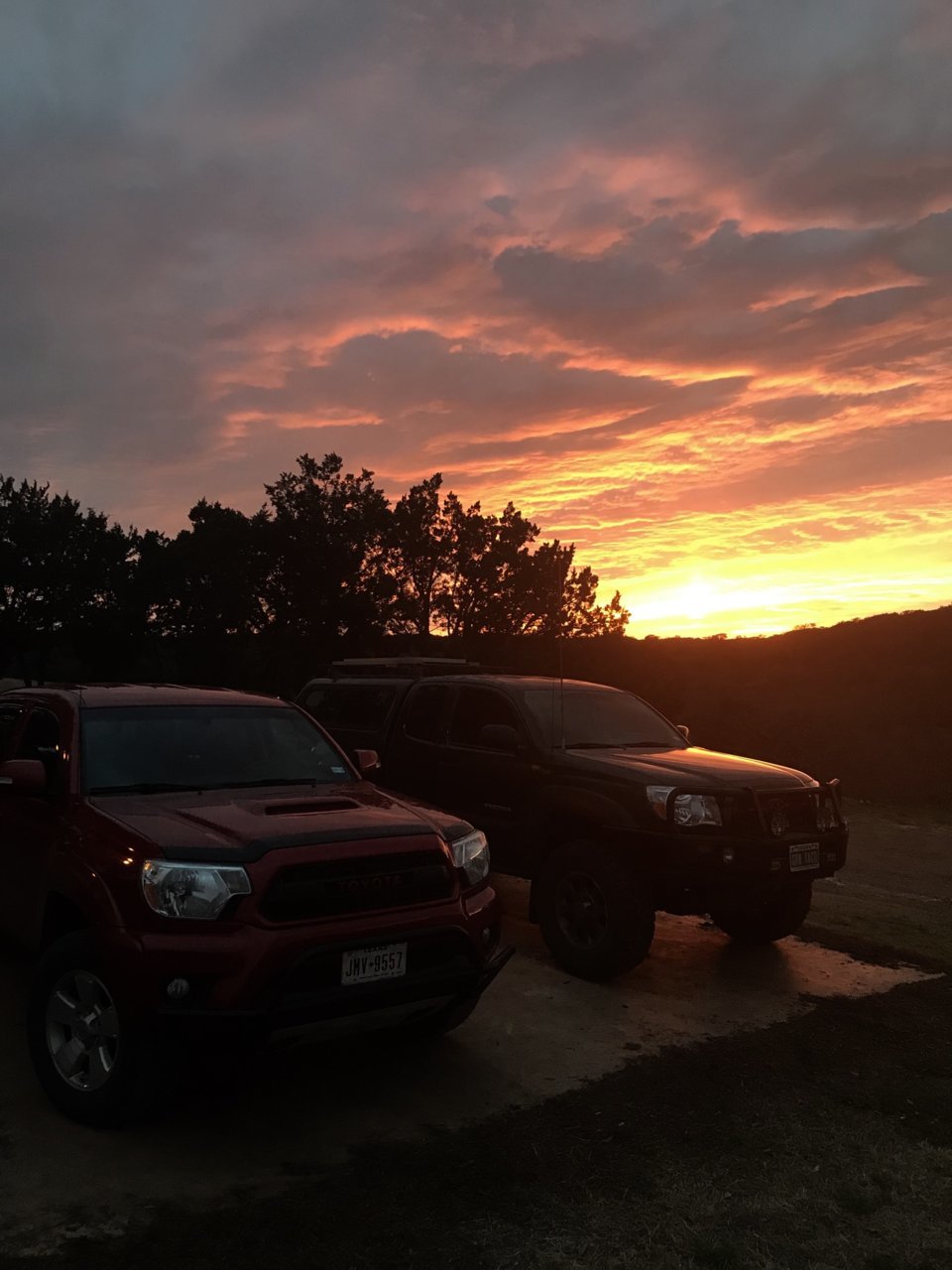 1EA3C8D3-774E-42F9-8FF7-20425C17A6D0.jpg