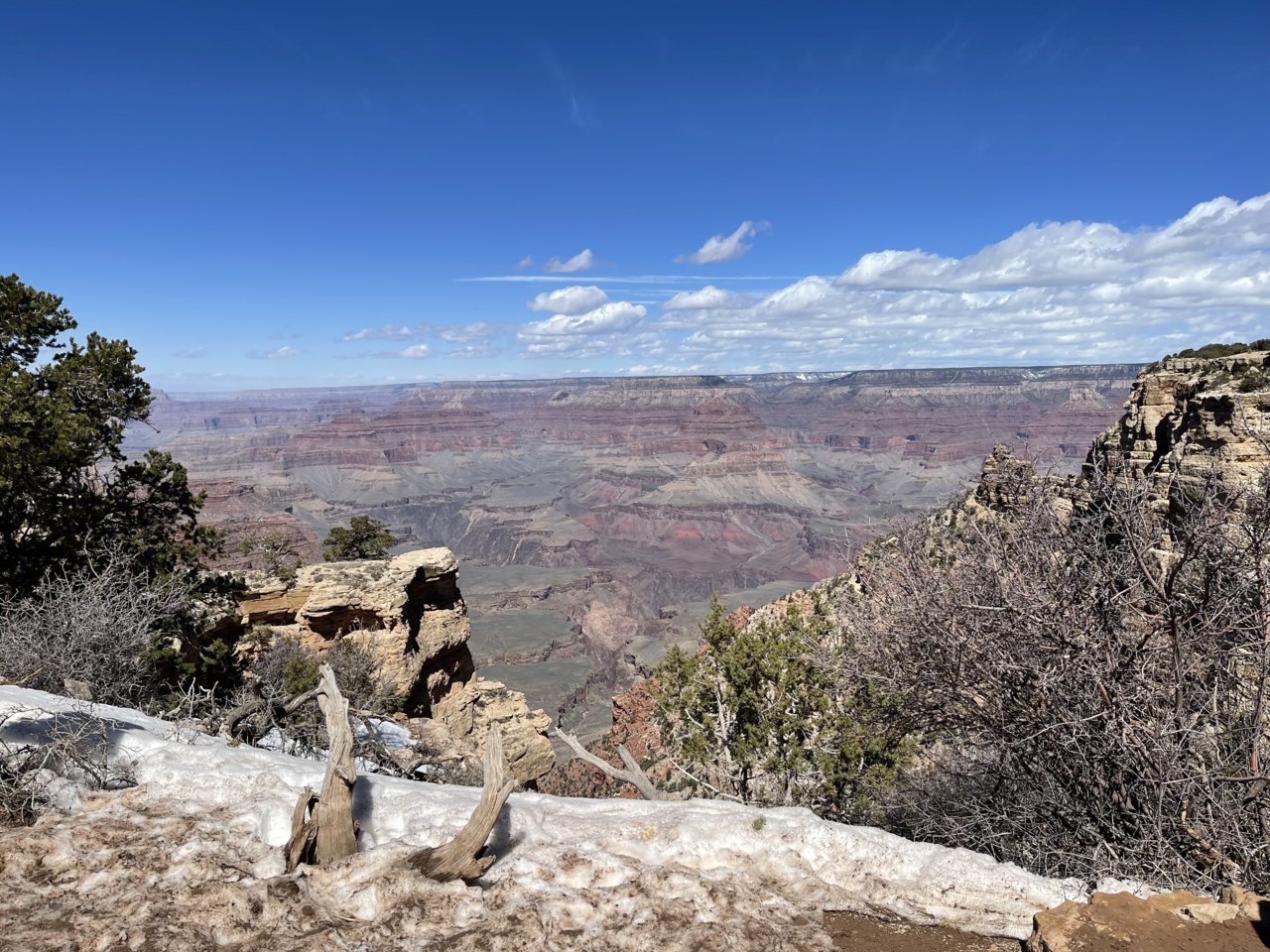 1EDB4486-9686-4823-8E52-163ABD059462.jpg