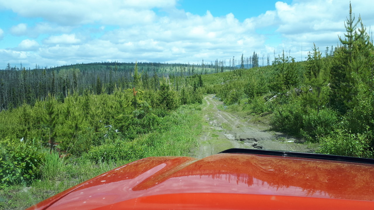 1EFD6124-8E2F-439F-BC04-2833C87AF0E6.jpg