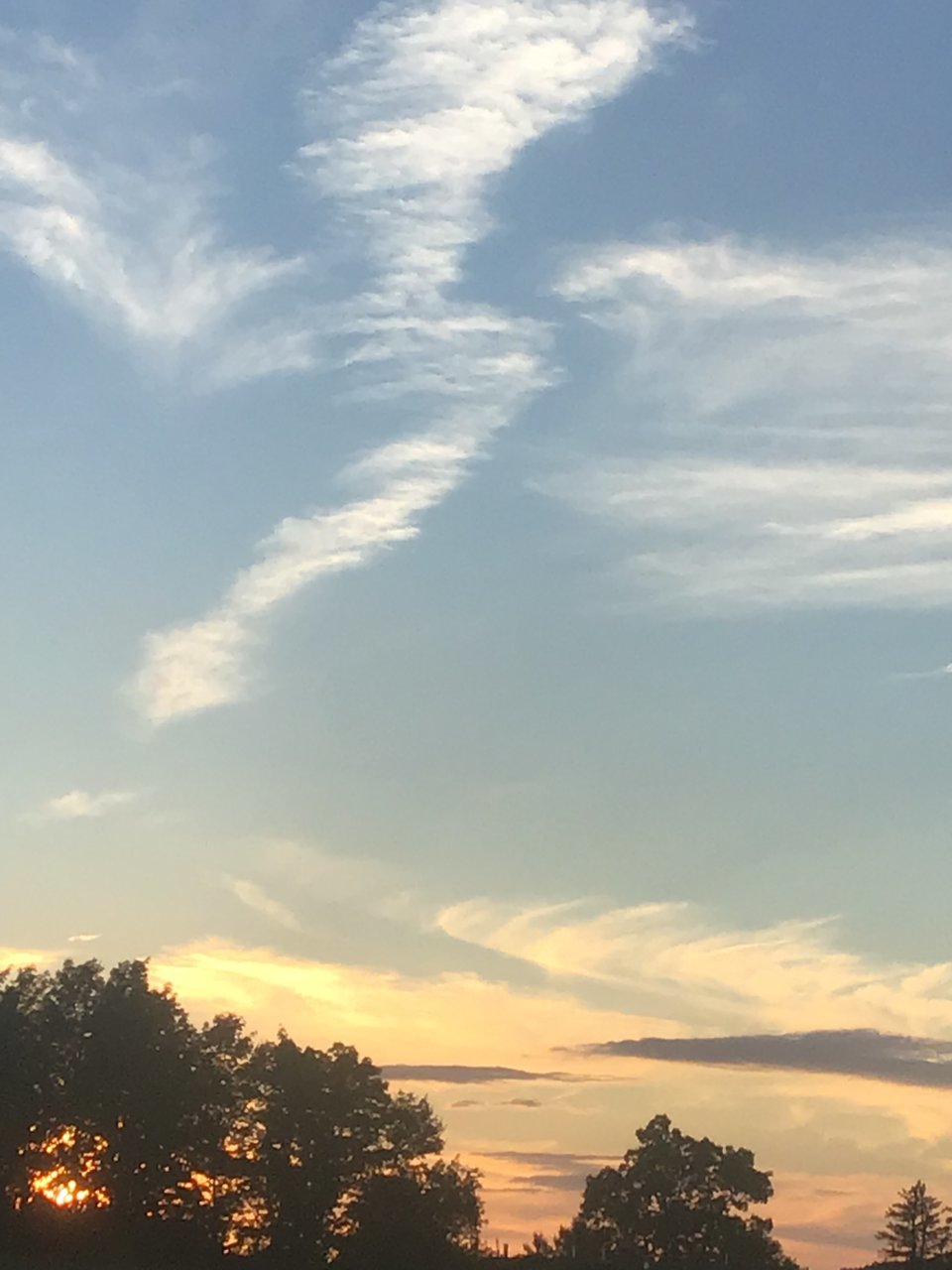 1F00CE92-049C-48D0-8C48-D9C36DDA9A2B.jpg