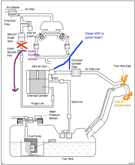 EVAP Service port location World