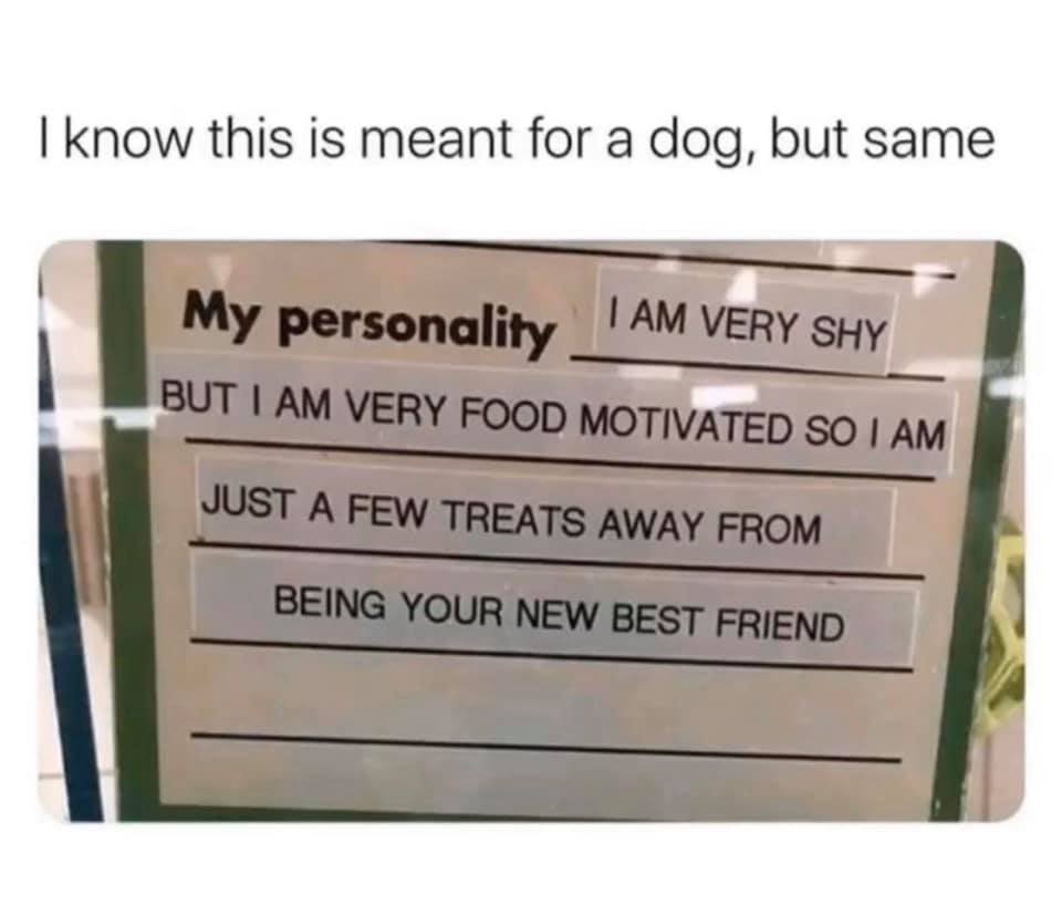 1sk1h1q644c41.jpg