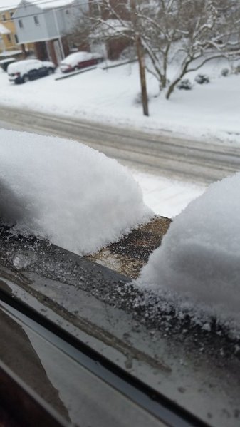 1snow2016.jpg