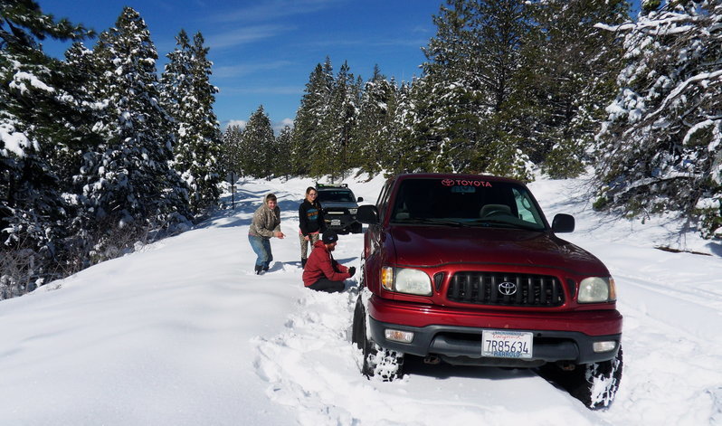 1st Gen, Dillon and Athena.jpg