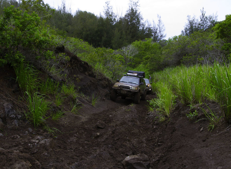 1st gen.jpg