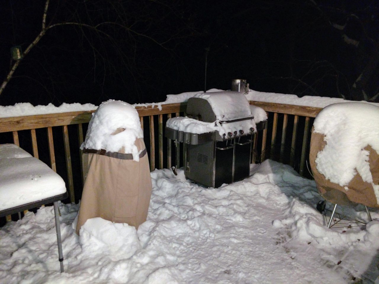 1st path to grill.jpg