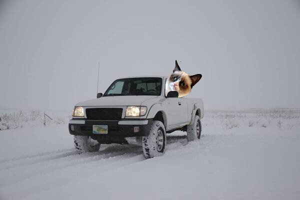 1st_snow_2012-picsay.jpg