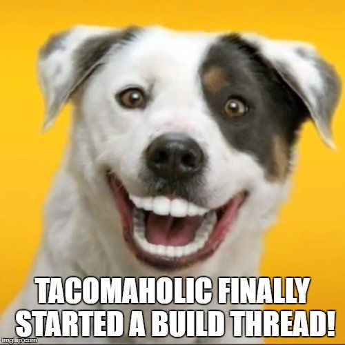 1tgwfd.jpg