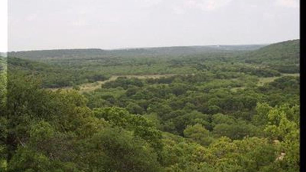 2-3269093040.jpg
