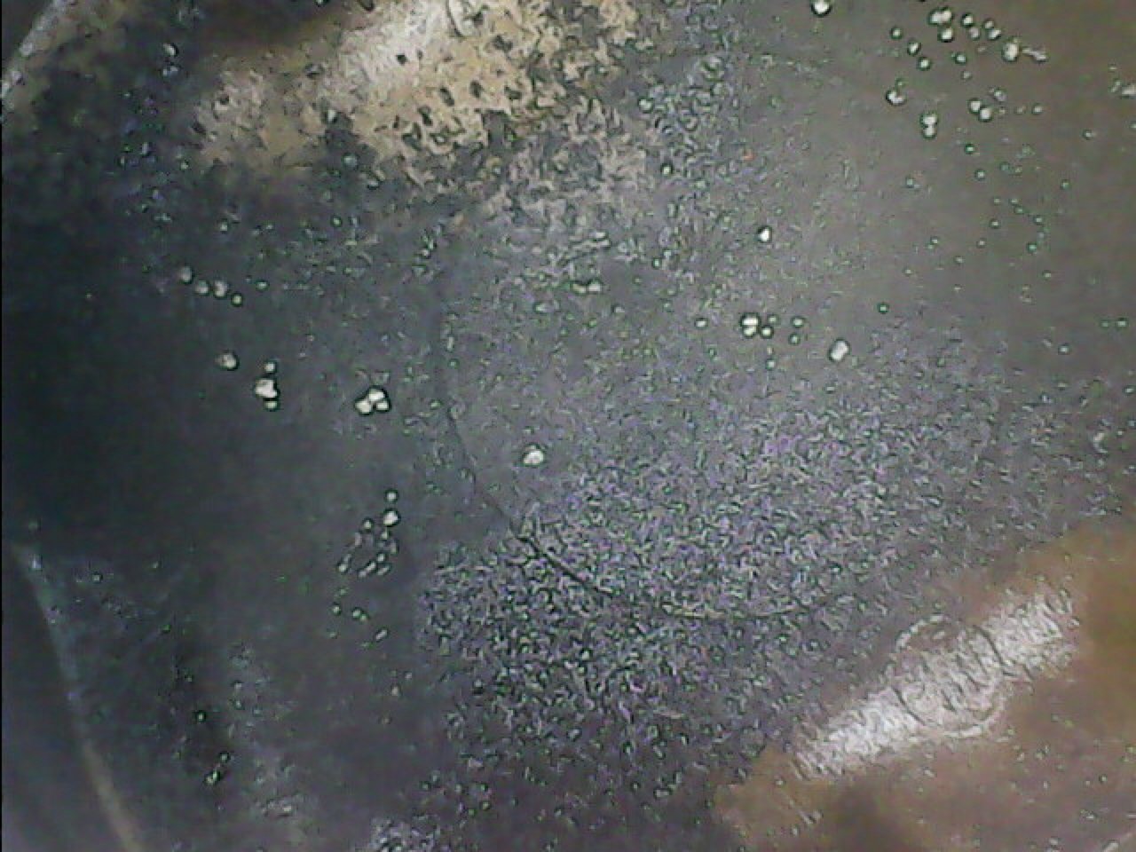 20-12-09 13:29:16.jpg