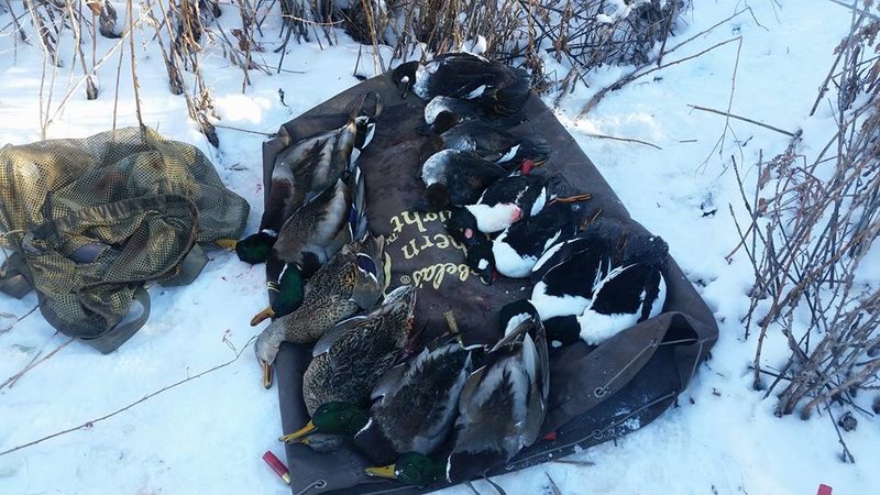 20 DEC 15 Duck Hunting.jpg