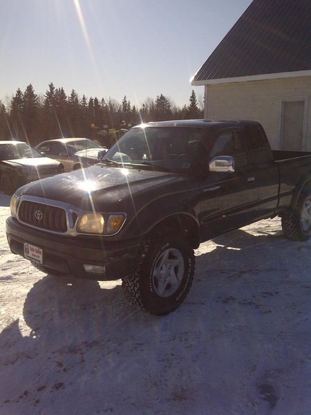 2001 Tacoma 3.jpg