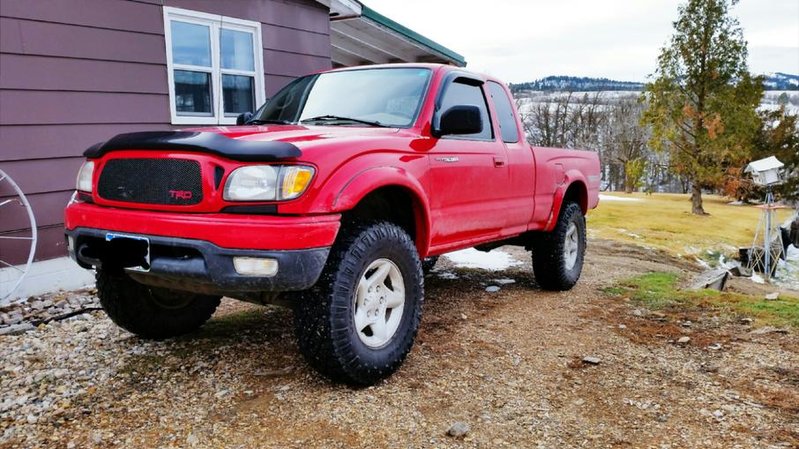 2001 Tacoma.jpg