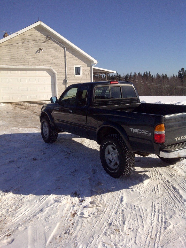 2001Tacoma2_0be706fd1f09a6597f40c59e5a16b12e5de6cc26.jpg