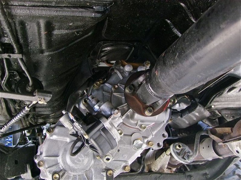 2002 Tacoma 6.jpg