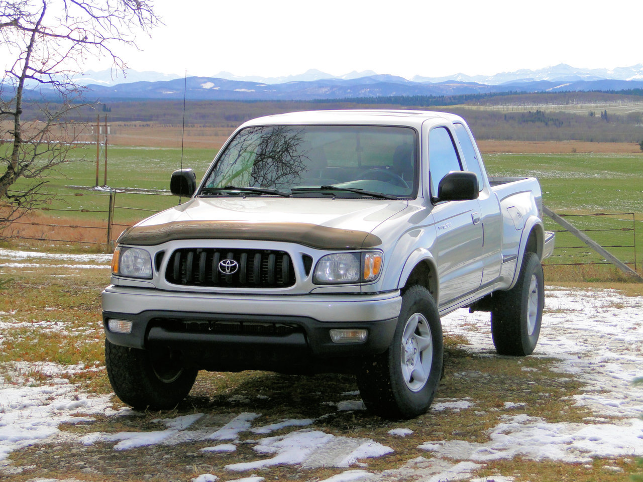 2003 Tacoma.jpg