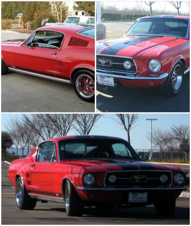 200313_082721_COLLAGE-1.jpg