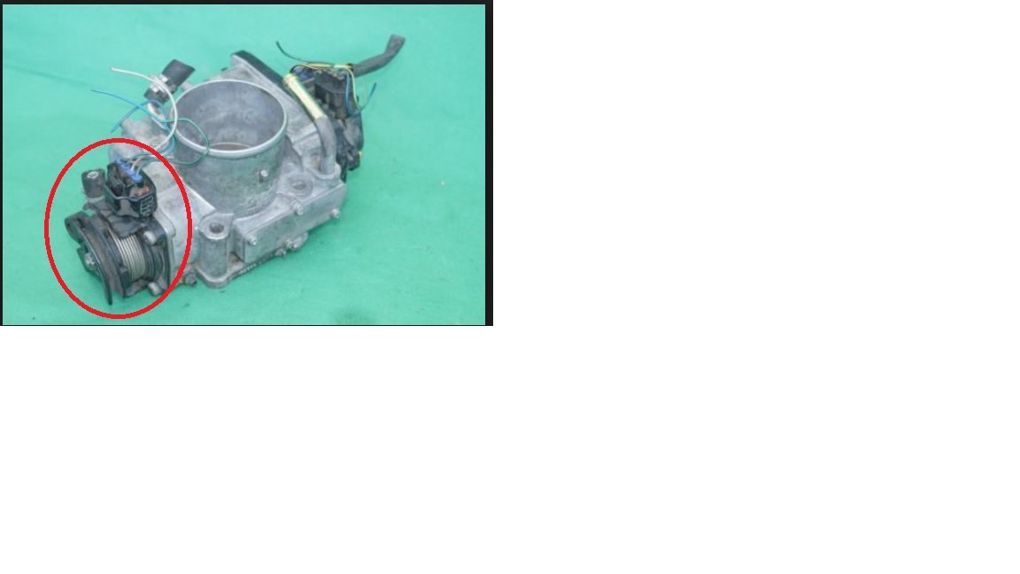 2004 t-body.jpg