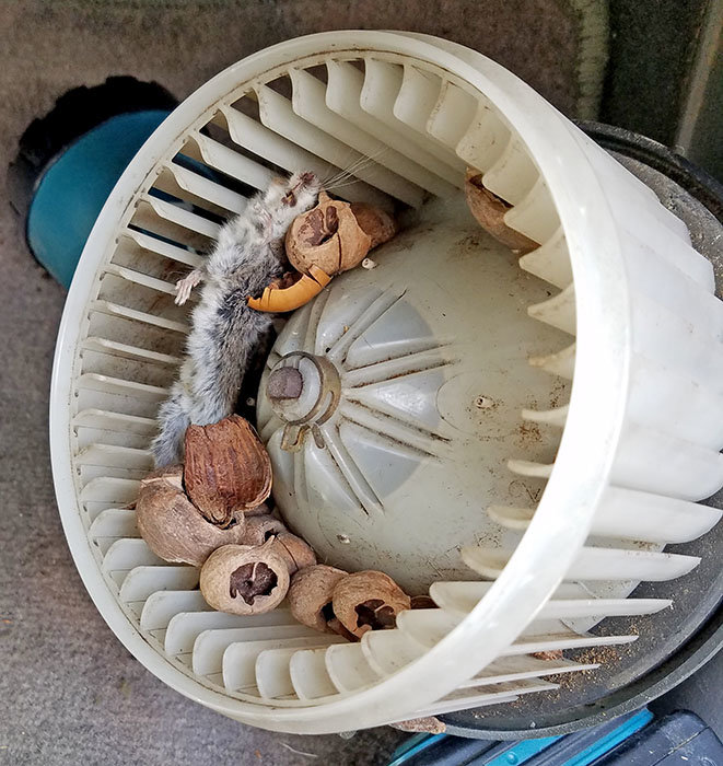 2004 tacoma blower problem.jpg