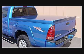 2005_taco_blue_wing.jpg