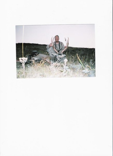 2007 Mule Deer.jpg