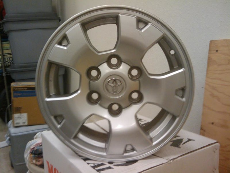 2009-11-04 17.52.46.jpg