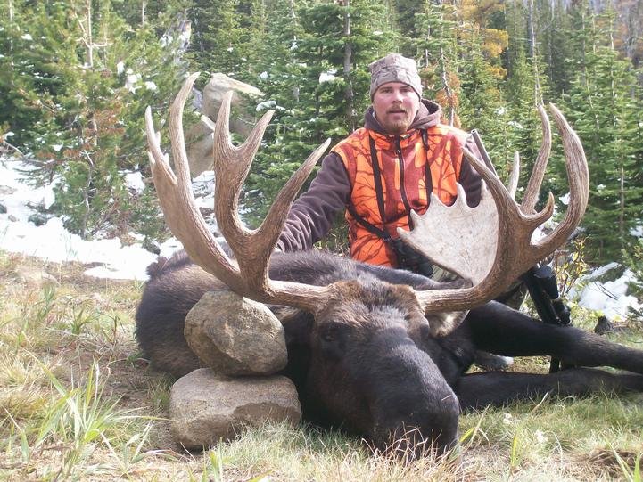 2009 moose 002.jpg