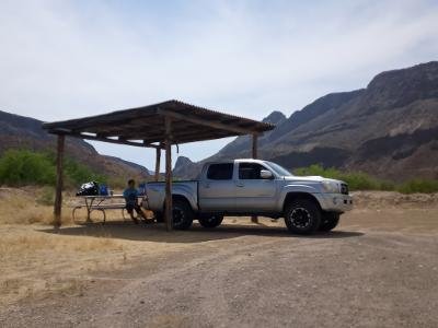 2009 Taco in Big Bend.jpg