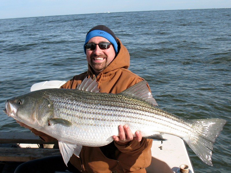20091230_big_striper8x6.jpg