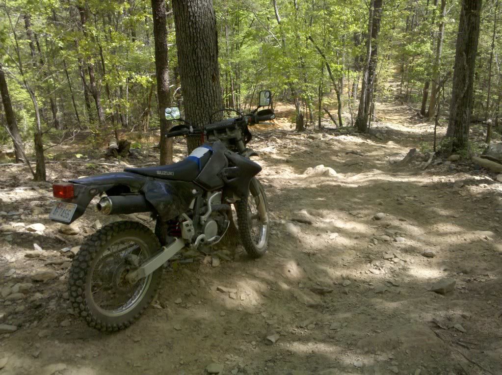 2010-04-10145235_4c0b7980d17cb15cad30a9d20b3a4539f5010c74.jpg