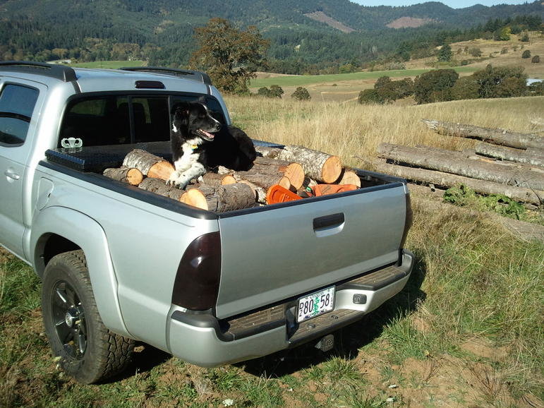 2010-10-06 10.55.33.jpg