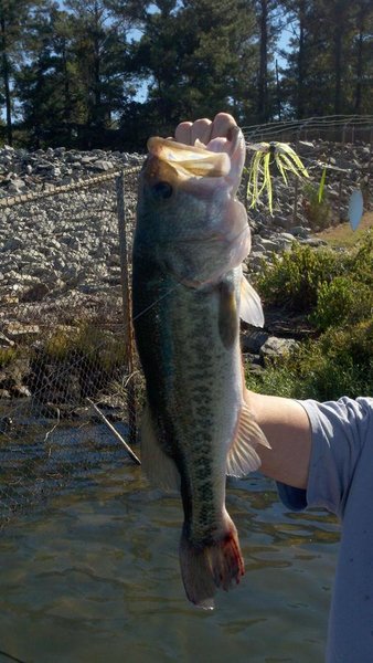 2010-10-08_15-16-02_69.jpg