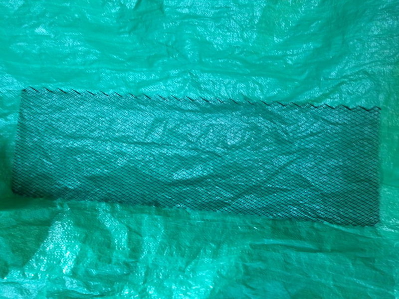 2010-10-28 12.30.40.jpg