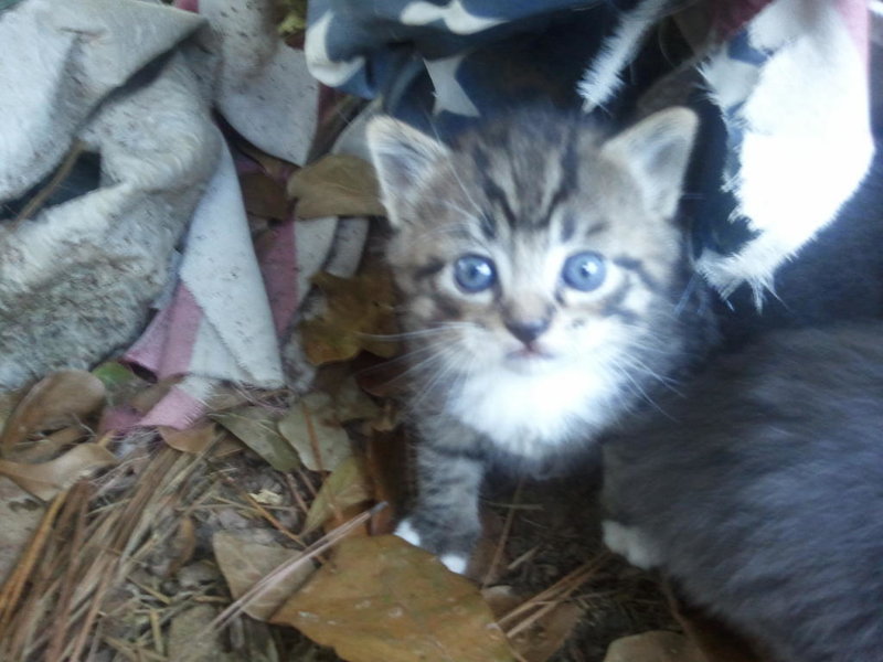 2010-10-31 17.55.53.jpg