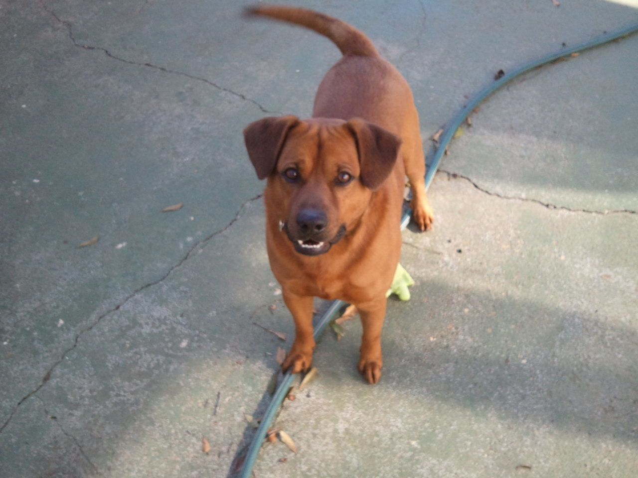 2010-12-19 12.57.23.jpg