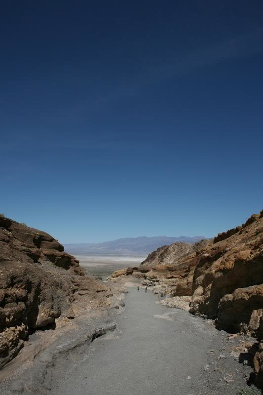 20100406_9999_79_c0ae7adeefead461e737696c0177b4802bbad595.jpg