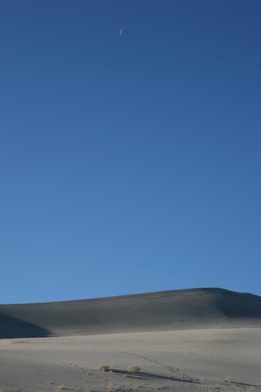 20100407_9999_43_def34a1043d6da4beb2f6fe2ab31a652dfbbcba3.jpg