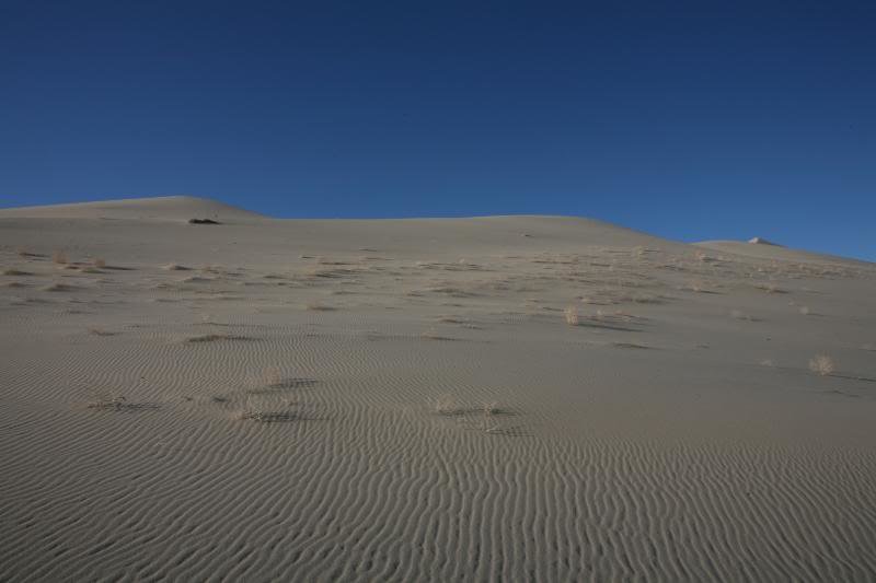 20100407_9999_97_91b6a969a6a121cf8575c96848748f0d10dd1d79.jpg
