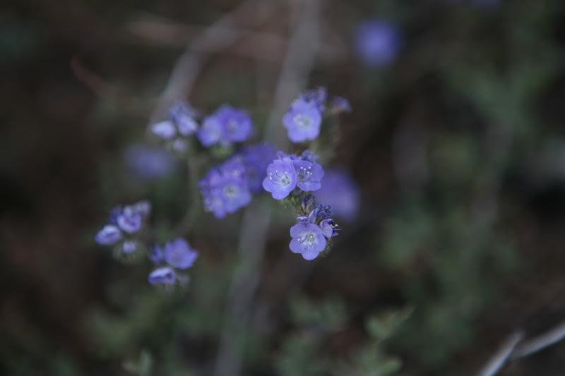 20100425_9999_12_8c00f01cee07664755a6b98c89cf1812d2e54699.jpg
