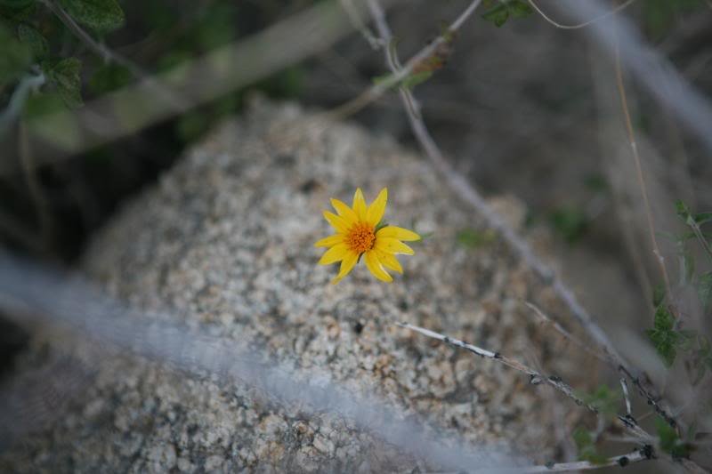 20100425_9999_18_2a8cb1b2fe45c5efe65b4cbdd3ae60bf9555f320.jpg