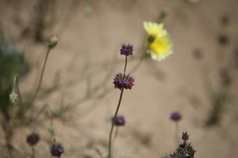 20100426_9999_14_8f33e940035d3958544f3d194e897dc235c49bb4.jpg