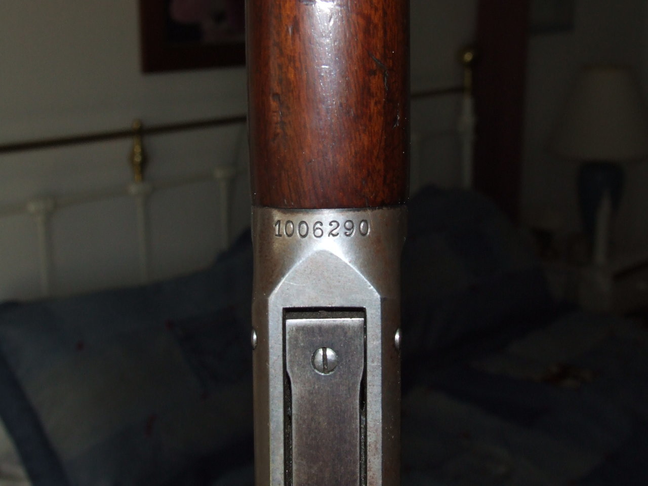 2010_0212InsPics0189.jpg
