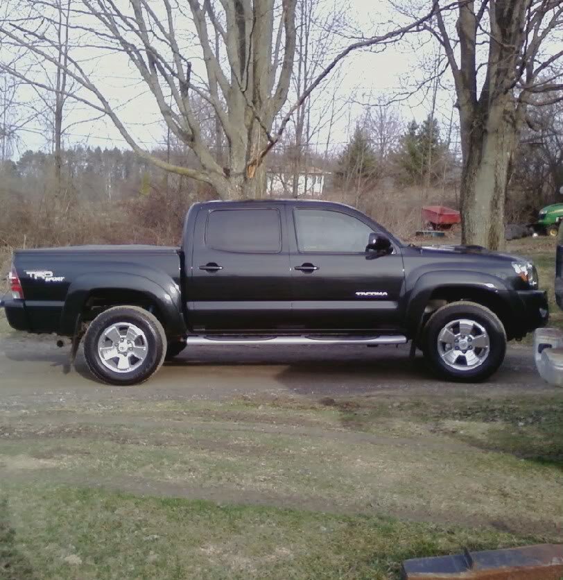 2010Toy1_a16bf62f4f51a9e46de6235aa6a372329b00a022.jpg