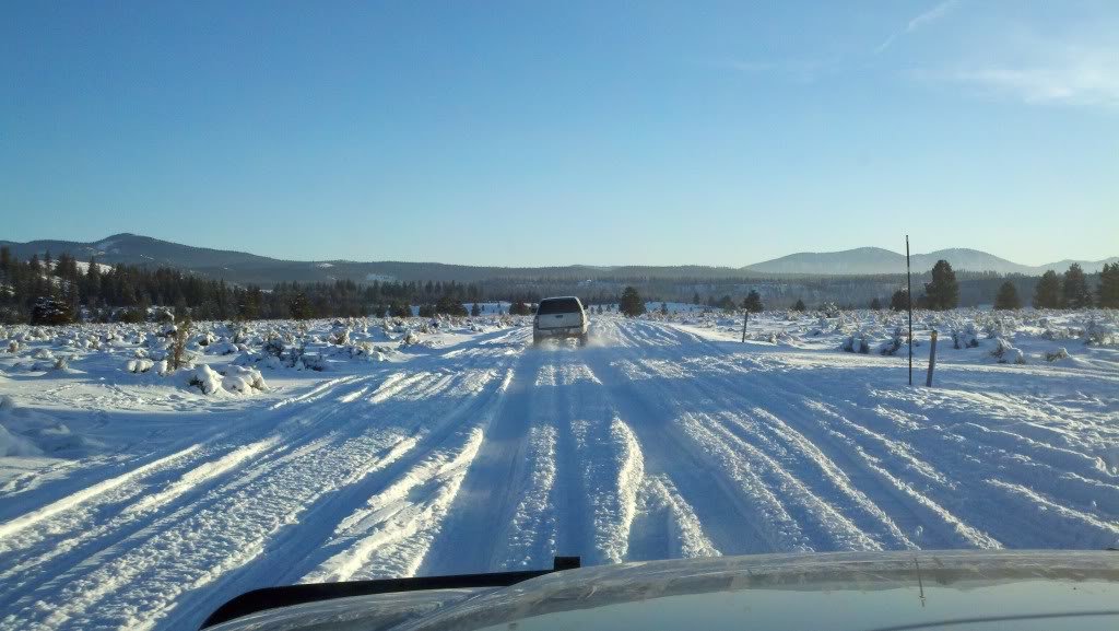 2011-01-04_16-12-13_976_6c4667b074de73f0ee54f5027367e9a024bd512d.jpg