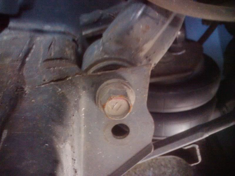 2011-01-15090438.jpg